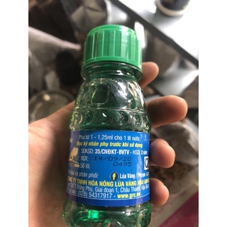 Thuốc đặt trị thối nhũn Physan