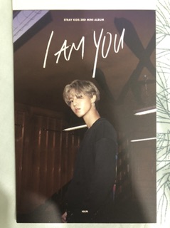 Postcard Straykids preorder