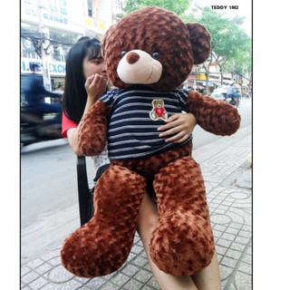 Gấu Teddy cao 1m20