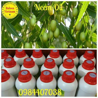 DẦU NEEM PHUN CHO HOA HỒNG- NEEM OIL 1 LÍT