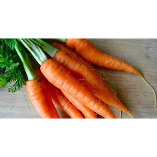 Hạt giống Cà Rốt F1