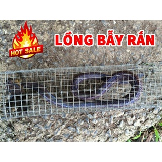 lồng bẫy rắn 70 x 15 x 15
