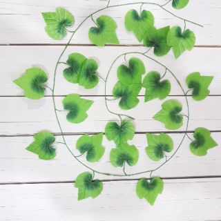 Dây lá giả nho xanh