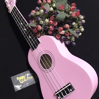 Đàn ukulele soprano hn-290