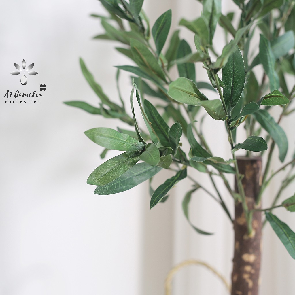 Cây Decor - Cây Oliu Camelia + Tặng Kèm Giỏ Decor Cao Cấp, Chiều Cao 0,8m, Chất Liệu Lá Không Bám Bẩn,Quả Oliu Như Hình | BigBuy360 - bigbuy360.vn