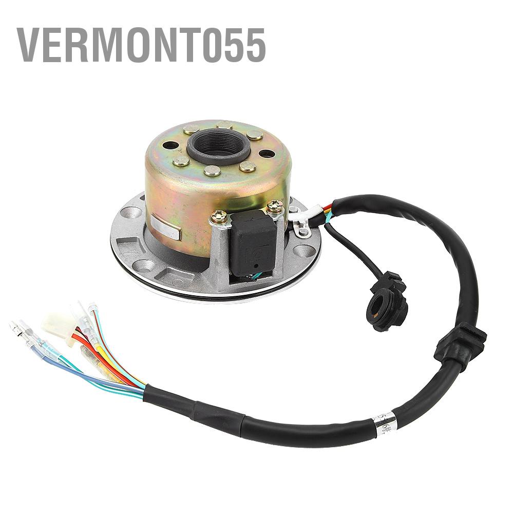 Có thể bán buôn Bộ dụng cụ động cơ Stator Rotor Magneto Coil Fit cho ZongShen 150CC Động làm mát bằng dầu Vermont055 Hàng giao ngay