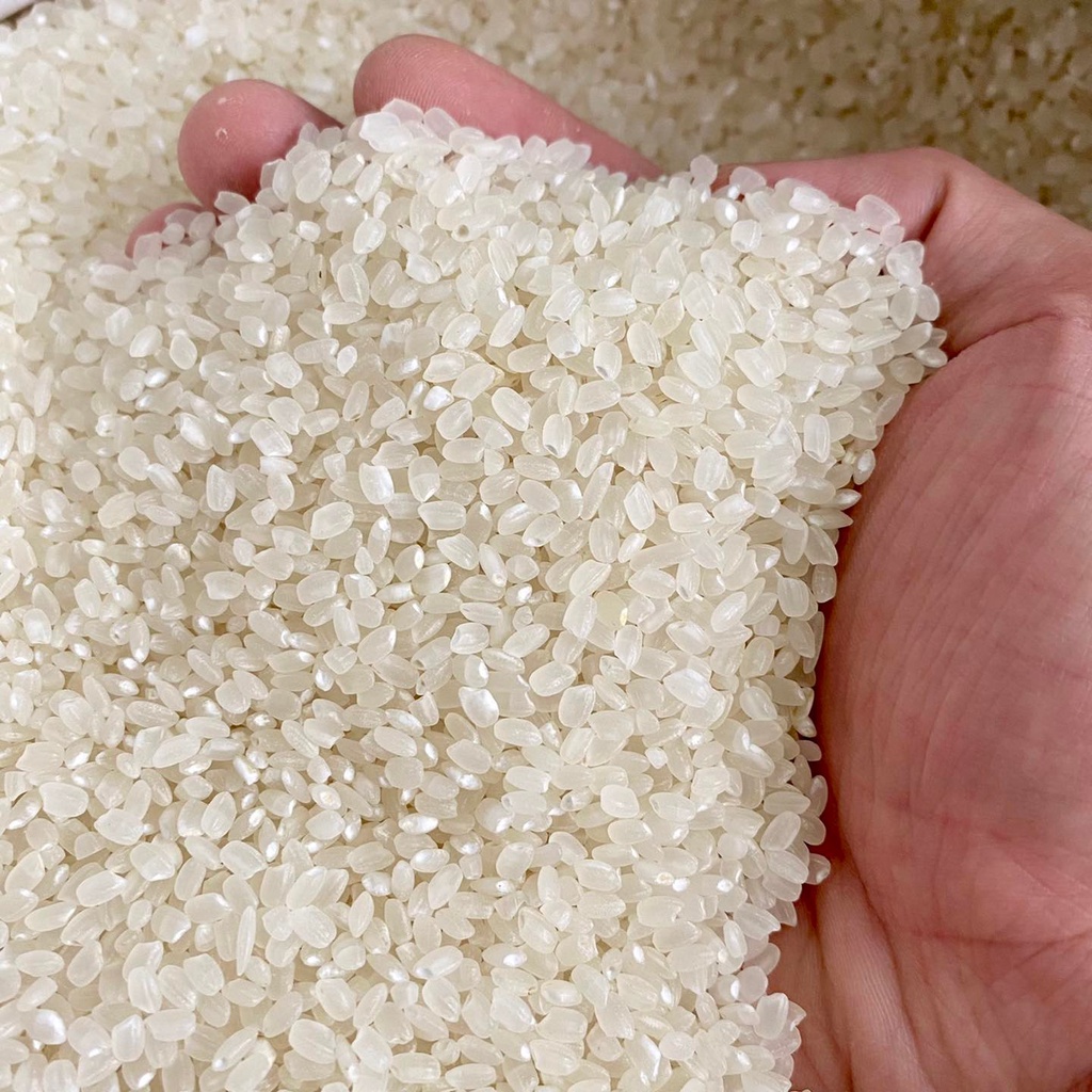 SÉNG CÙ HẠT TRÒN