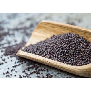 1kg Hạt rau mầm cải ngọt