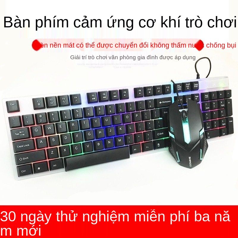 Bàn phím chơi game dạ quang, chuột, cảm ứng cơ, ăn gà, game, máy tính để bàn, USB có dây đen trắng đa năng | BigBuy360 - bigbuy360.vn