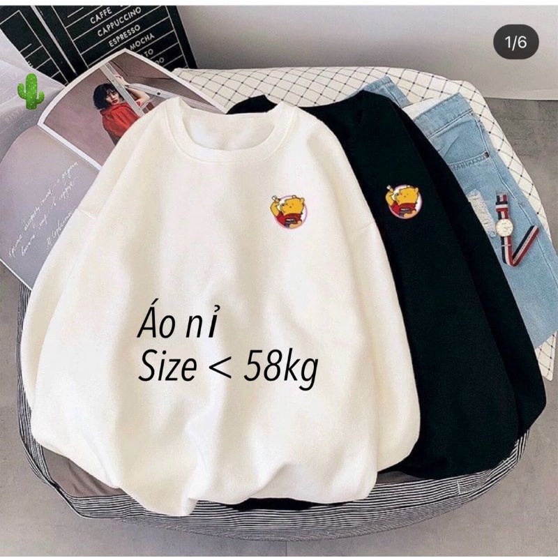 Áo nỉ chú gấu xinh