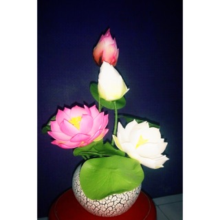 Bình hoa Sen đất sét