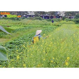Bình xịt điện FST 20D