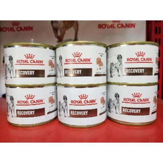 Bate Royal Recovery Fel 195g