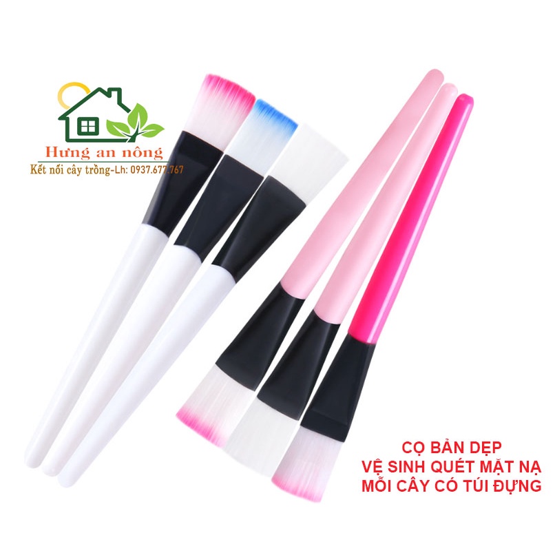 Bộ 100 cọ bản dẹp quét mặt nạ và vệ sinh thay chậu cảnh rất tiện mỗi cây có bao nilon đựng.