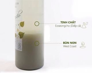 Nước hoa hồng rau diếp cá