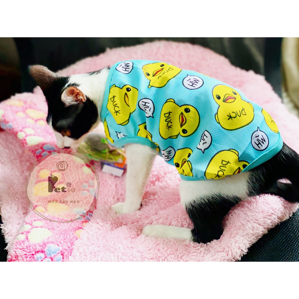Áo cho chó mèo cưng mặc mùa hè siêu mát hình vịt con đáng yêu