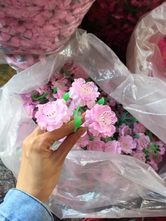 Hoa anh đào- đào chùm 1kg