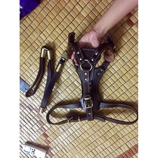 Đai yếm dây dắt chó lớn bằng da bò