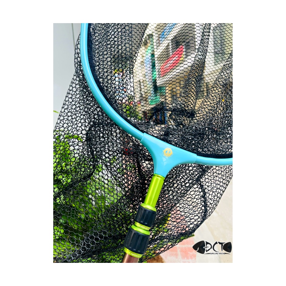 MẶT VỢT SĂN HÀNG