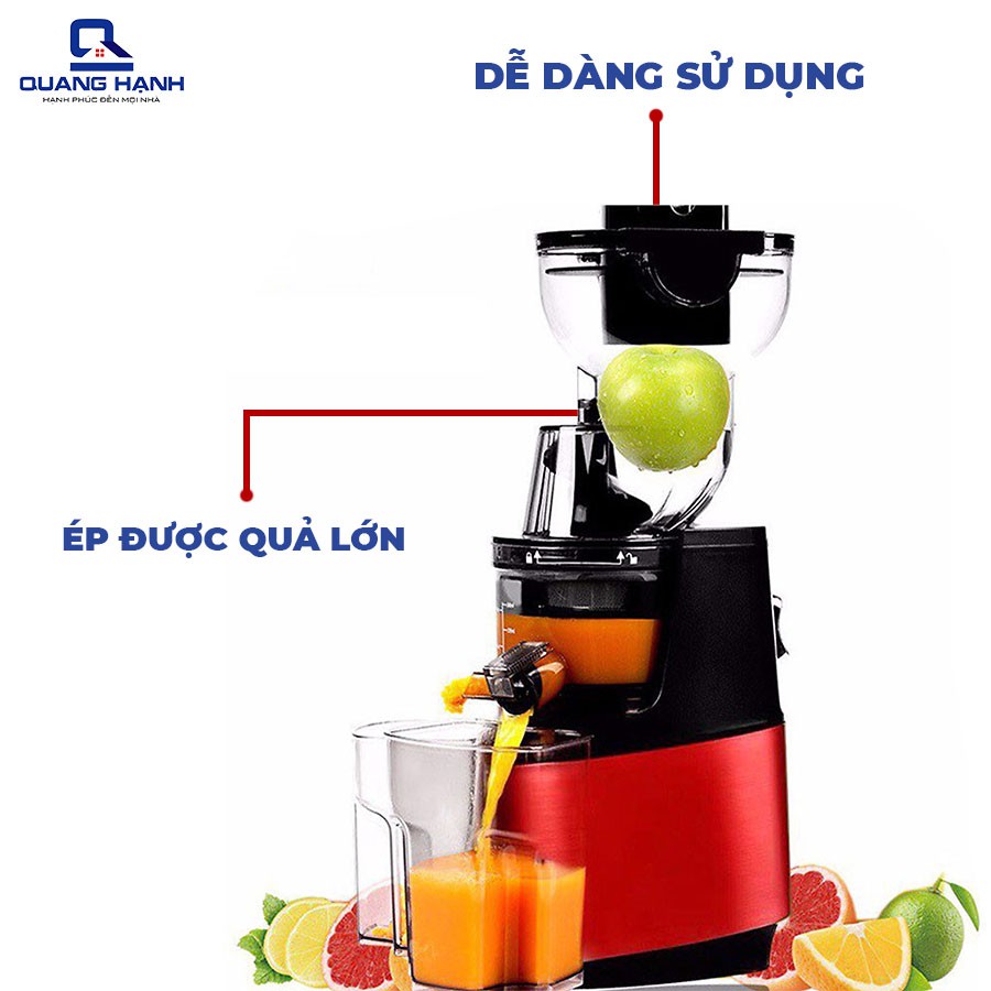 Máy ép trái cây hoa quả tốc độ chậm SAVTM JE 31