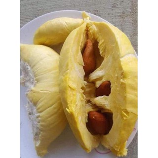 Đầm váy áo