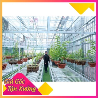 Lưới che nắng Đài Loan [ khổ 5m, Đen ] Độ che phủ 70%