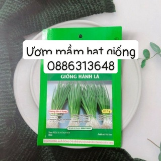 Hạt giống hành lá HN gói 1gr