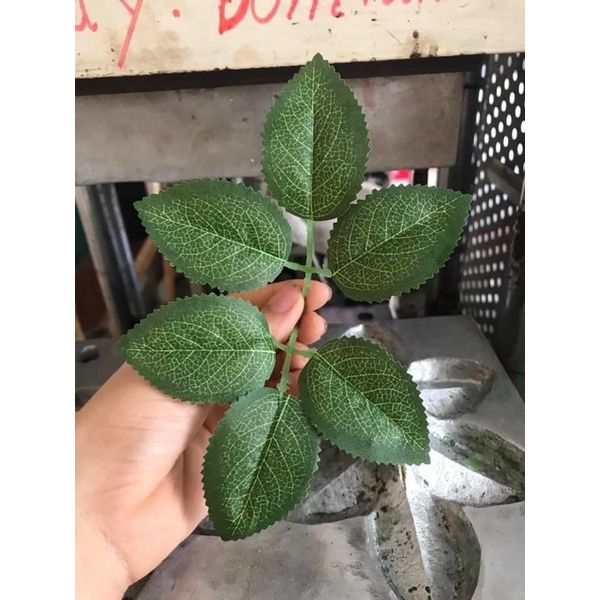 Lá hoa Hồng giả túi 20 lá