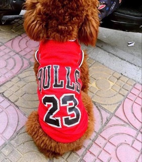 Áo thun lưới logo Bulls 23💪🏻