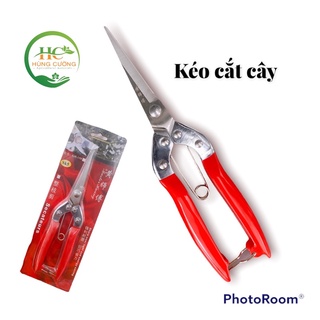 Kéo cắt cây, tỉa lá cành