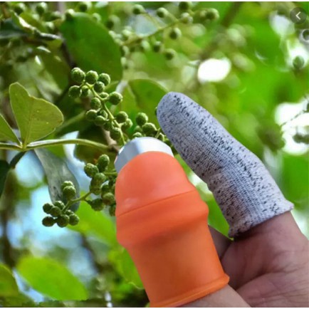 Ngón cái bấm cắt rau củ - nạo gọt tiện lợi chống bẩn móng tay - BHGR68