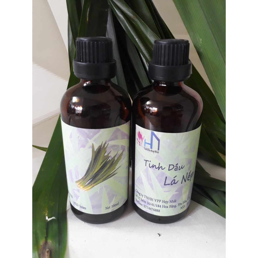 Tinh dầu thơm hương Lá Nếp Lọ 100ml