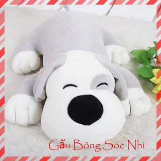 Gấu Bông Chó Mắt Híp