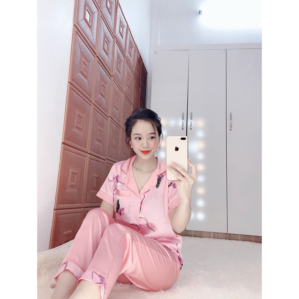 Đồ ngủ
 giá rẻ🔥FREESHIP🔥 Đồ bộ lụa satin Hồng Hạc | BigBuy360 - bigbuy360.vn