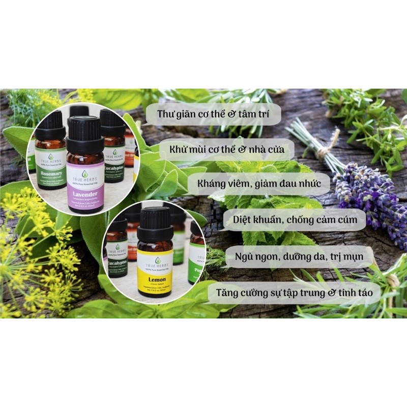 Tinh Dầu Xông Phòng Hương Bạc Hà ( CAM KẾT HÀNG CHUẨN LƯU HƯƠNG LÂU )