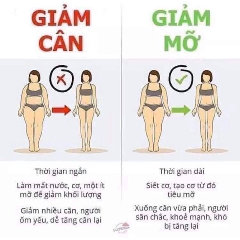 Trà giảm cân Minci Concept của Pháp hộp 30 gói