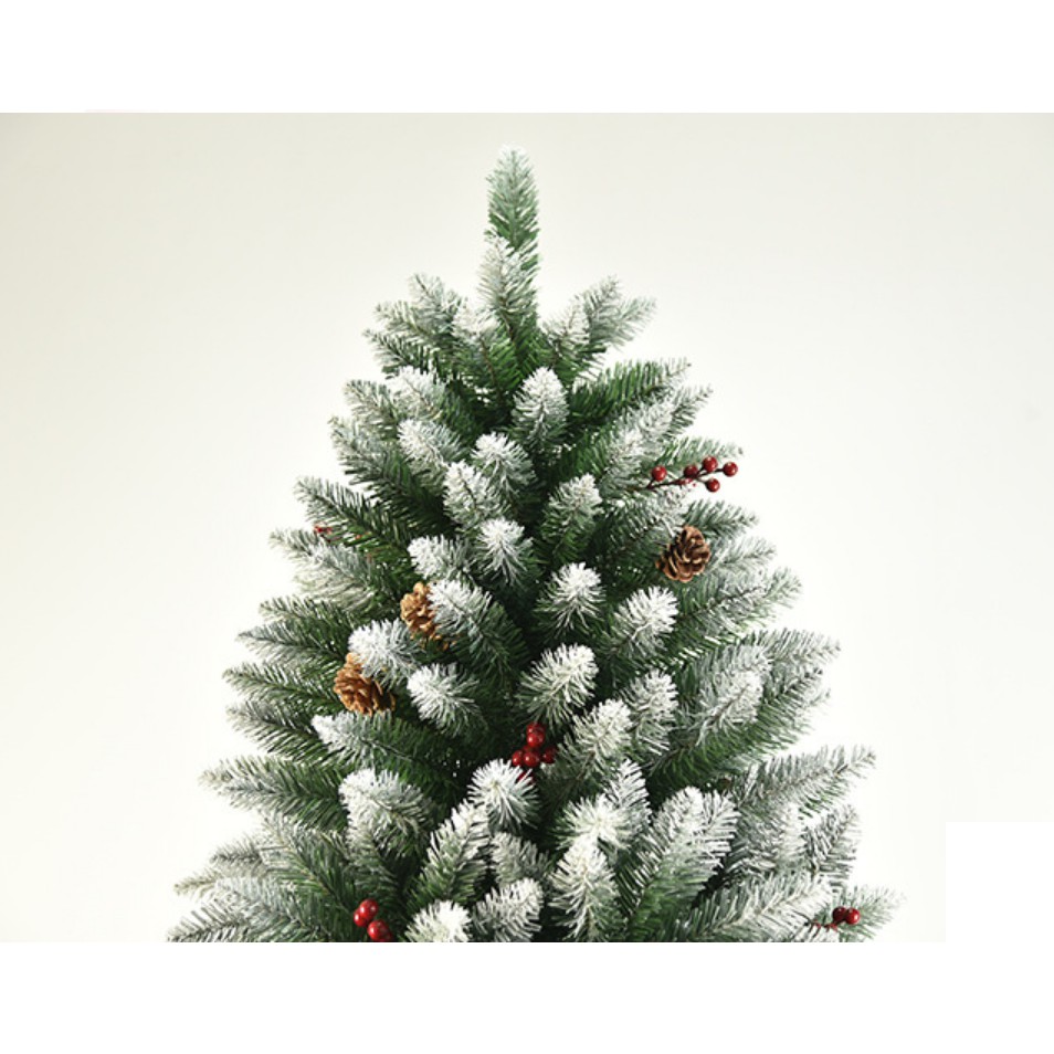 Cây thông tuyết có quả cao 180cm hàng cao cấp dày đẹp C5
