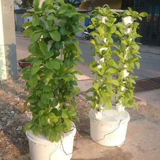 TRỌN BỘ TRỤ ĐÔI KHÍ CANH 66 RỌ TRỒNG RAU VÀ HOA