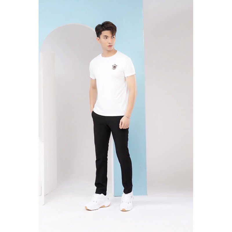 Áo phông nam kẻ | BigBuy360 - bigbuy360.vn