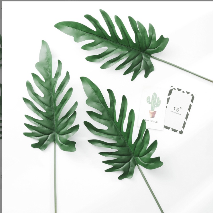 LÁ CÂY giả như thật, Monstera, Lá dừa, trầu bà, lá trang trí lót bàn ăn decor chụp ảnh