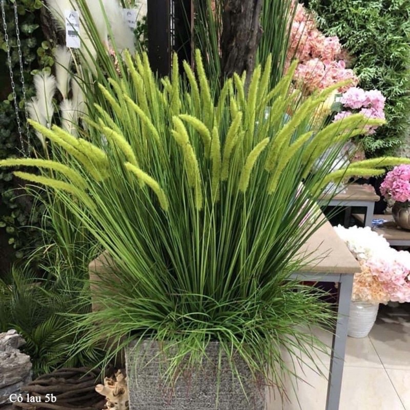 Cụm lau giả 5 nhánh decor phong cách vitage