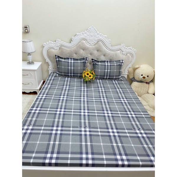 Sét 3 món ga và 2 vỏ gối 100% cotton
