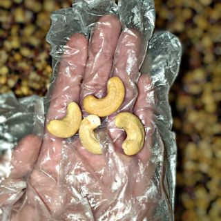 [GIÁ XƯỞNG] 1KG BỘT NGŨ CỐC CHỈ GỒM CÁC HẠT CAO CẤP KHÔNG ĐƯỜNG