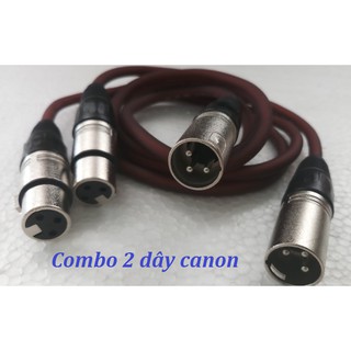 Combo 2 dây jack canon