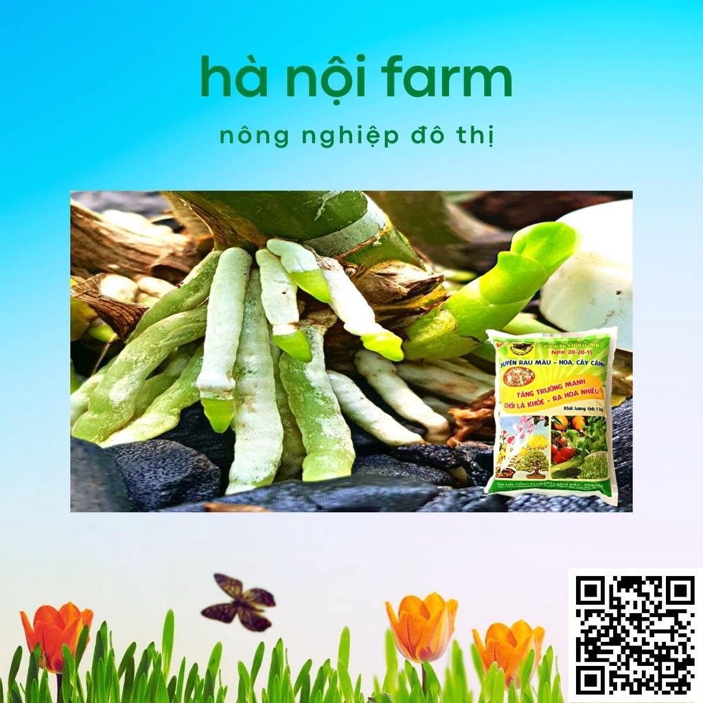 Phân bón đầu trâu 20-20-15, dùng cho rau màu, hoa kiểng gói 1kg