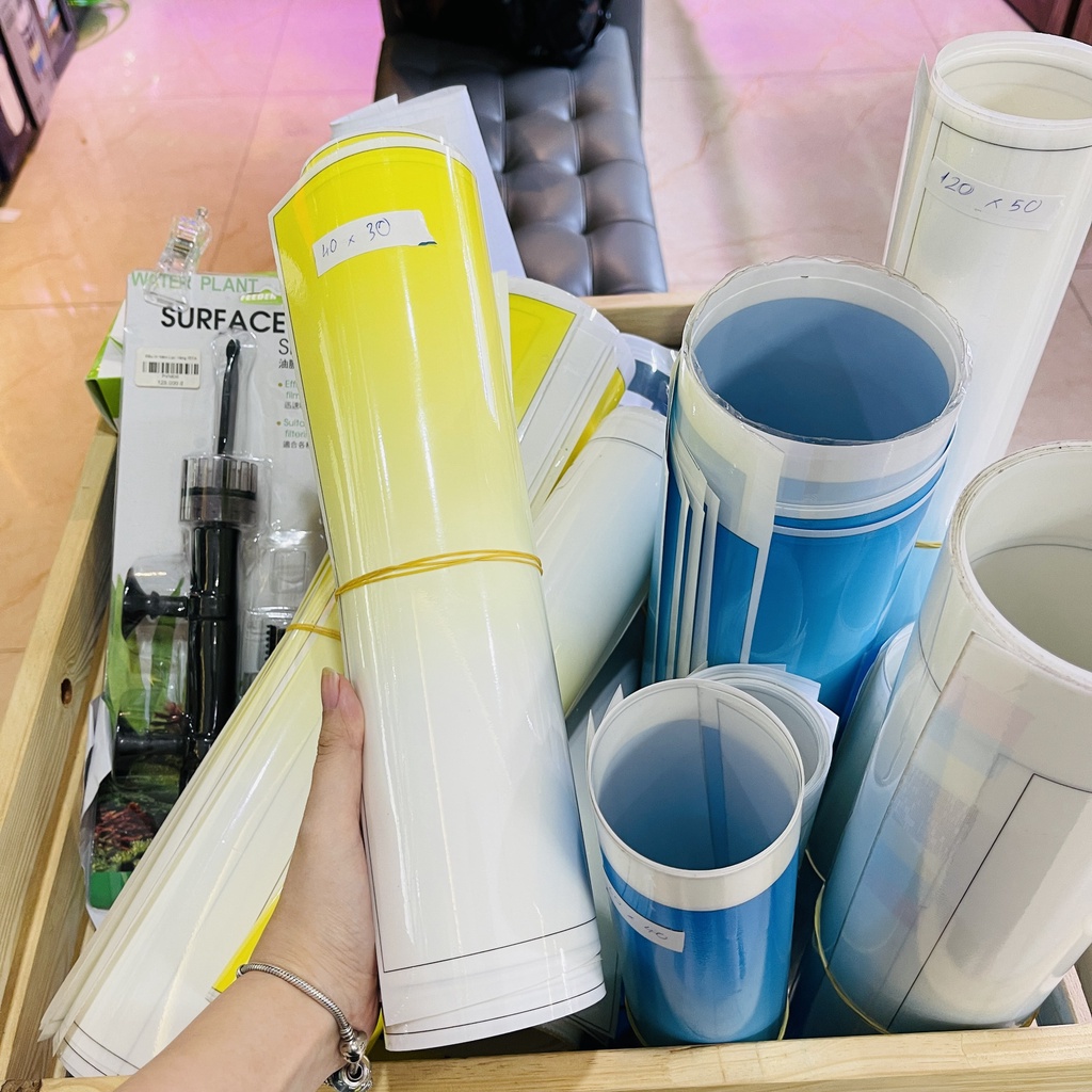 Tranh Nền Decal Dán Bể Cá Bể Thuỷ Sinh