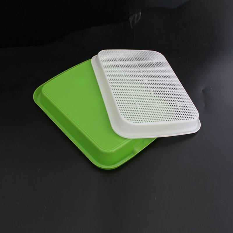 Khay trồng Rau mầm Thủy canh loại 1 như nguyên sinh bền, dày, không mùi