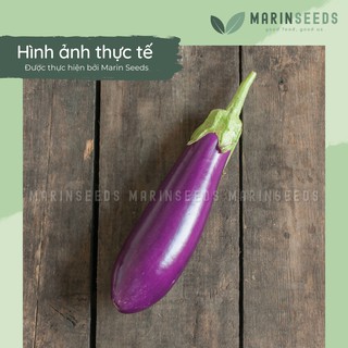 Hạt giống cà tím F1 (0.2gram)