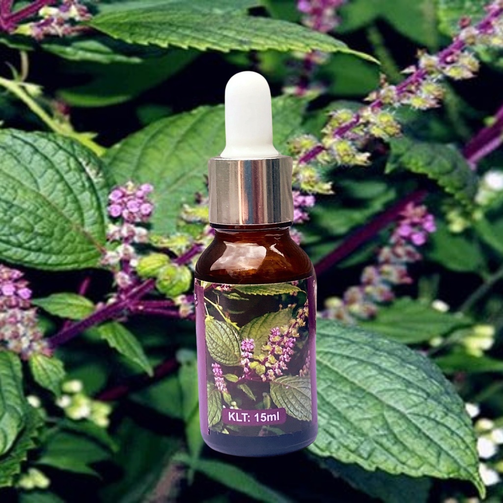 Tinh Dầu Thiên Nhiên Hương Nhu Nguyên Chất Dung Tích 10ML Xông Phòng, Toả Hương Thơm, Sạch Không Khí, Khử Mùi Diệt Khuẩn