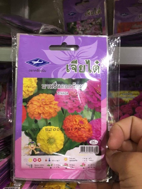 Hạt giống hoa các loại hàng Thái Lan